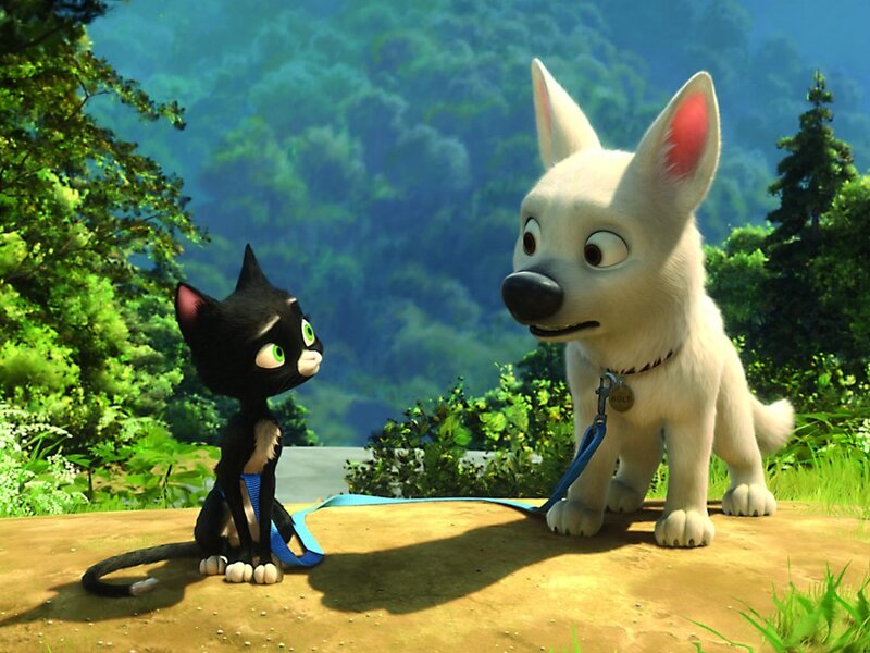 Bolt and Mittens in the forest