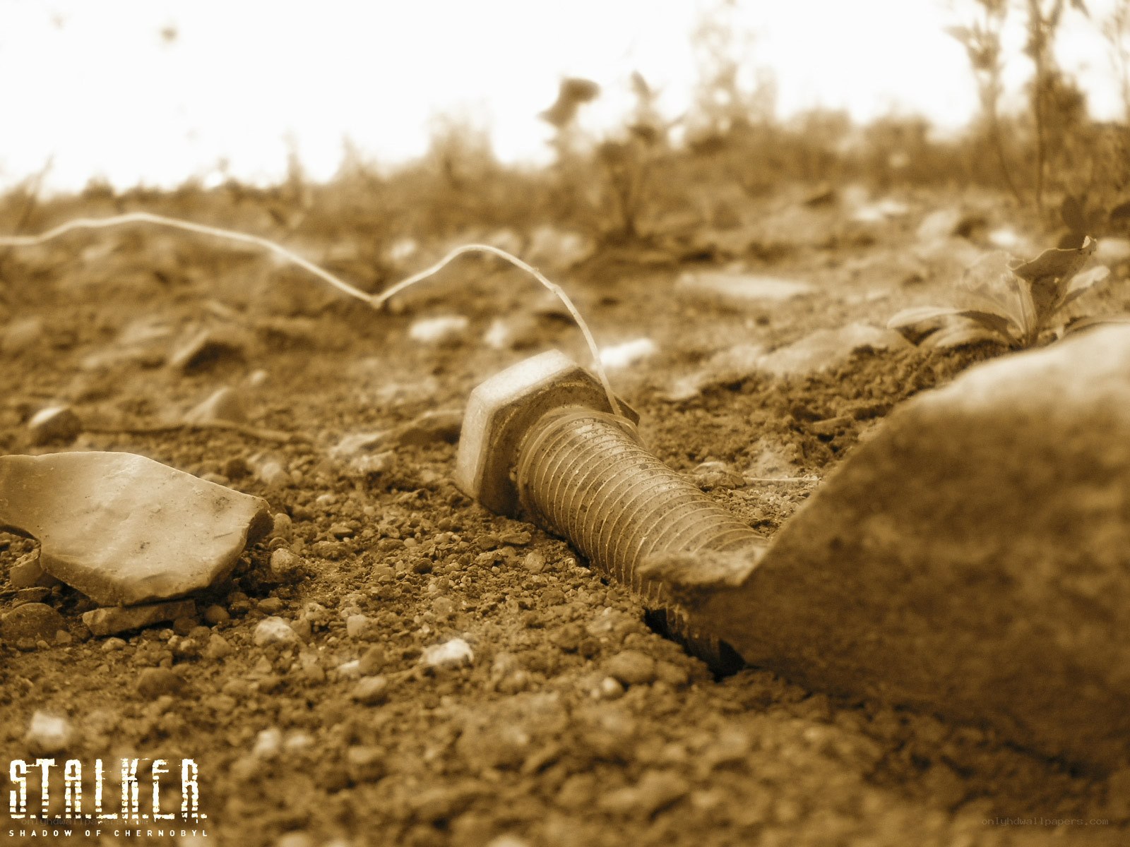 Bolt on the Ground