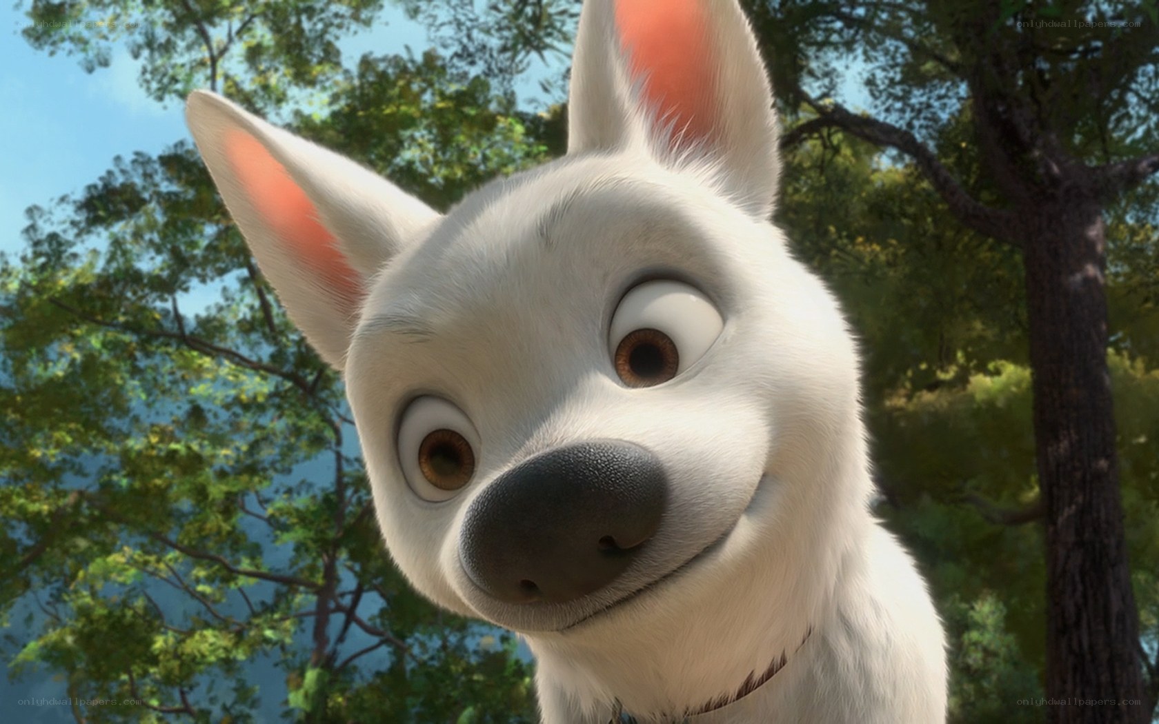 Bolt the dog from Disney