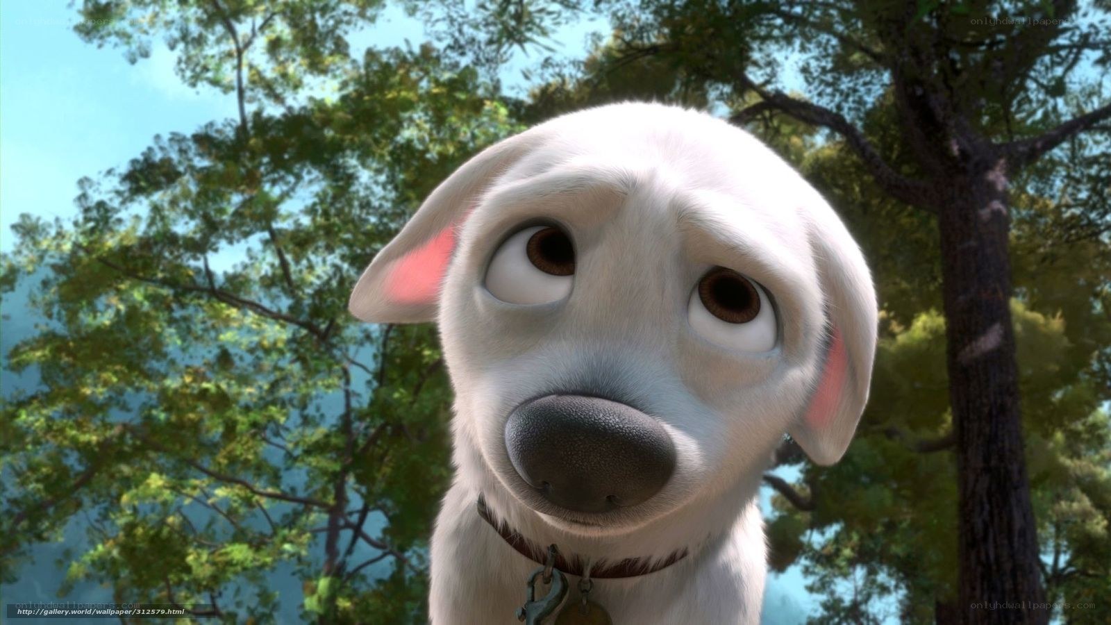 Bolt the dog from the movie