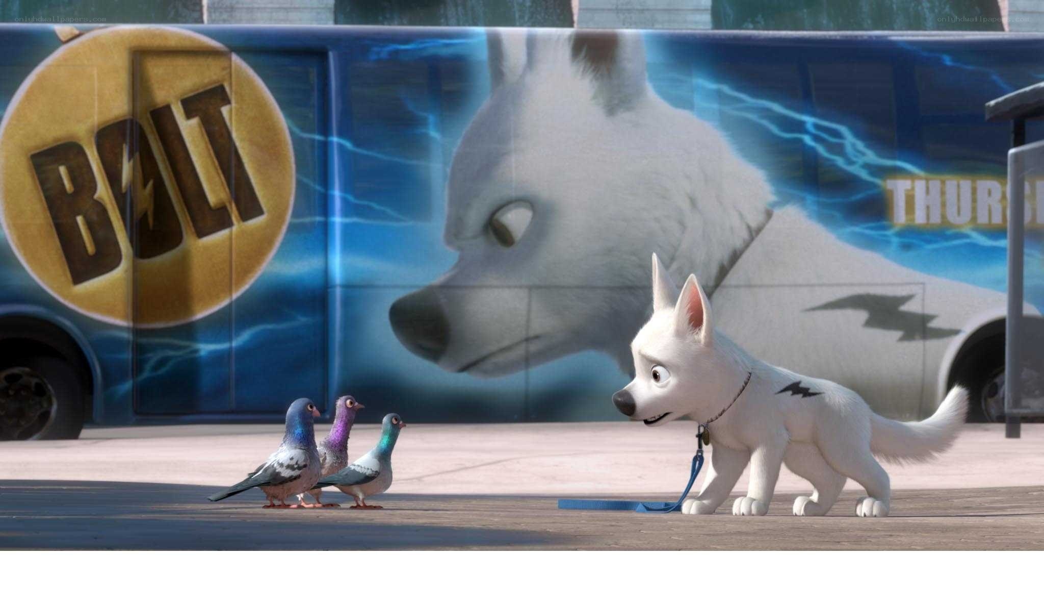 Bolt the dog with pigeons
