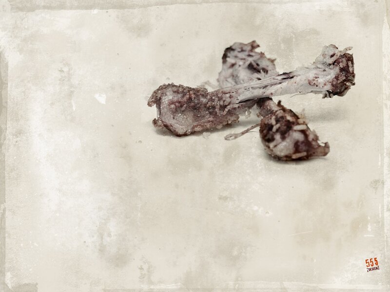 bone on textured surface