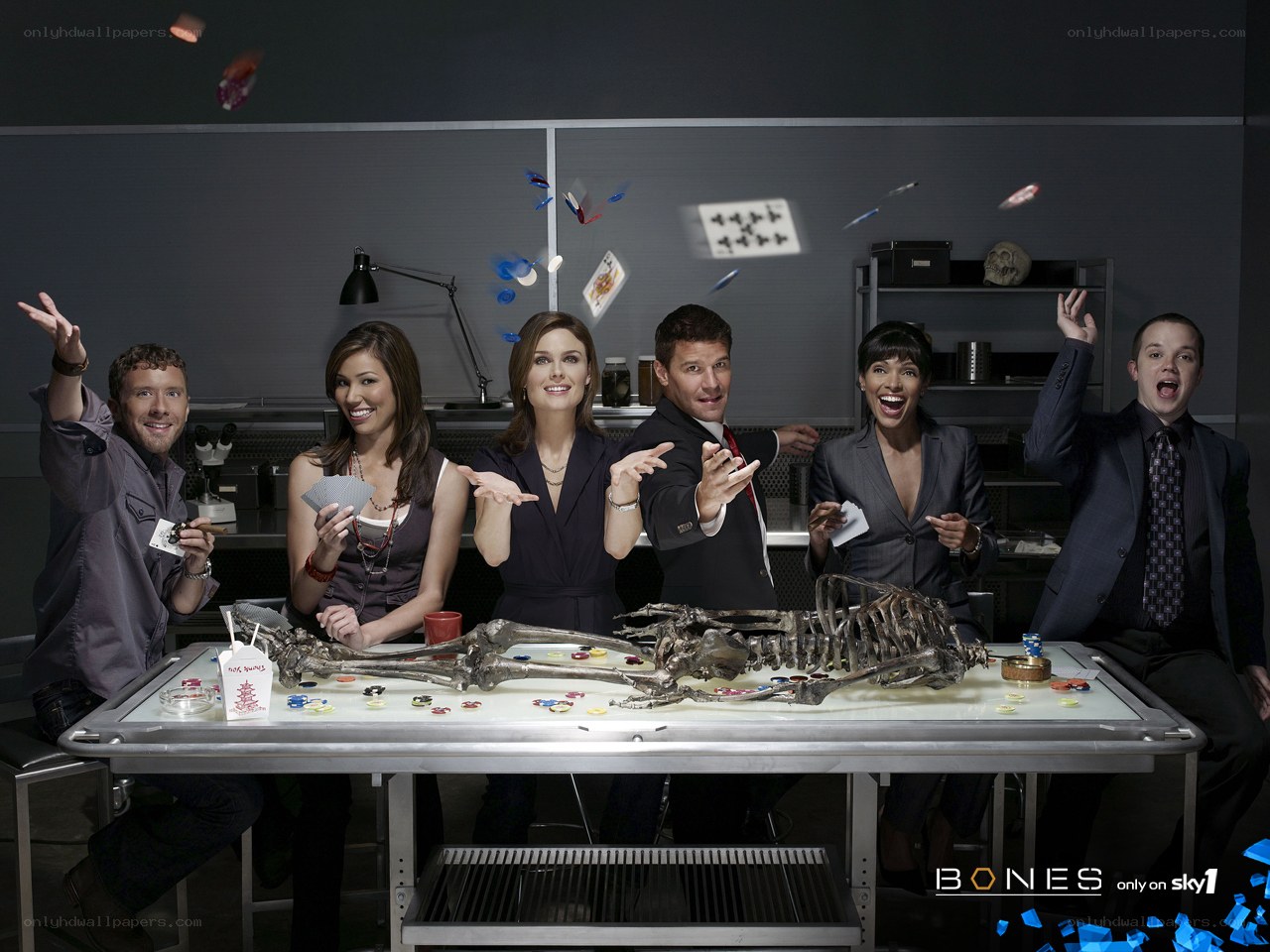 Bones cast celebrating