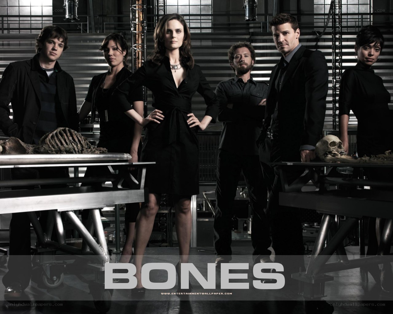 Bones cast promotional image