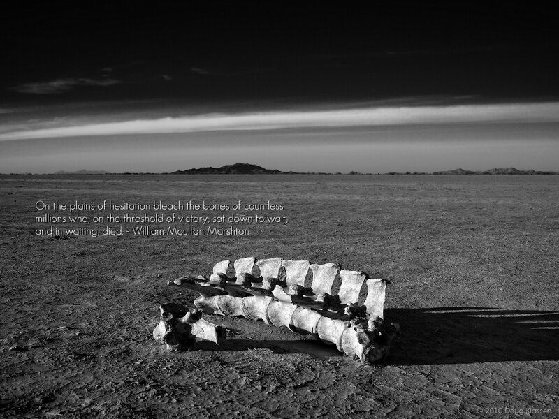 Bones on a desert plain