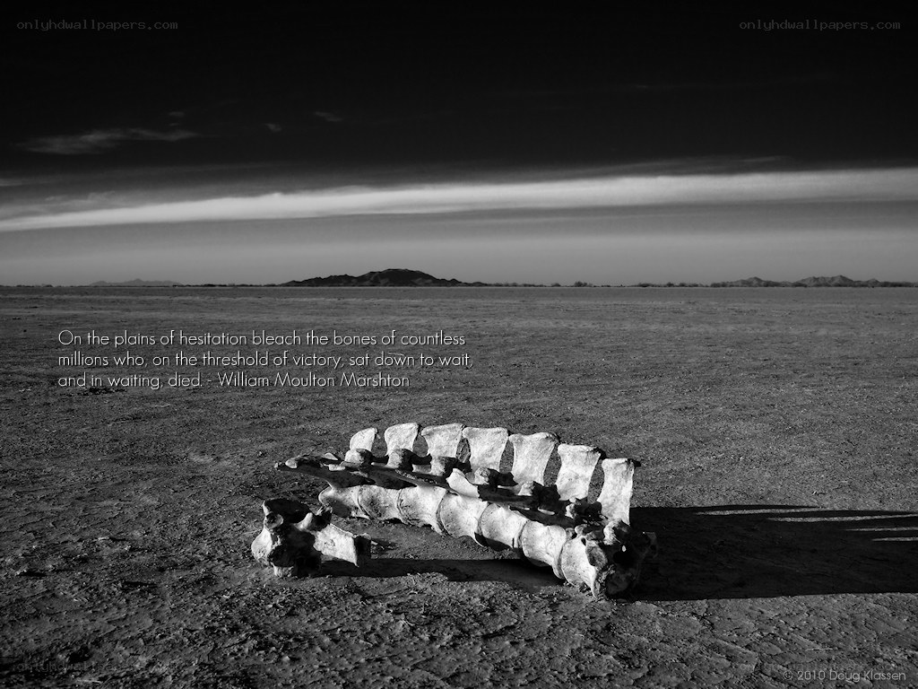 Bones on a desert plain