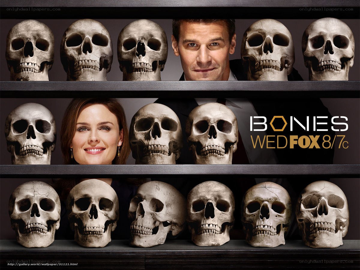 Bones TV show poster