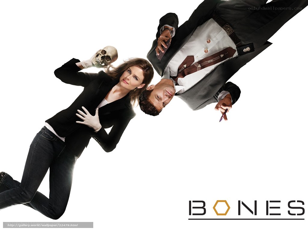 Bones TV show promotional image
