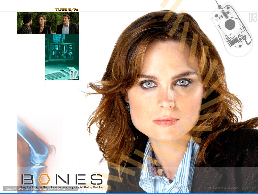 Bones TV show promotional image