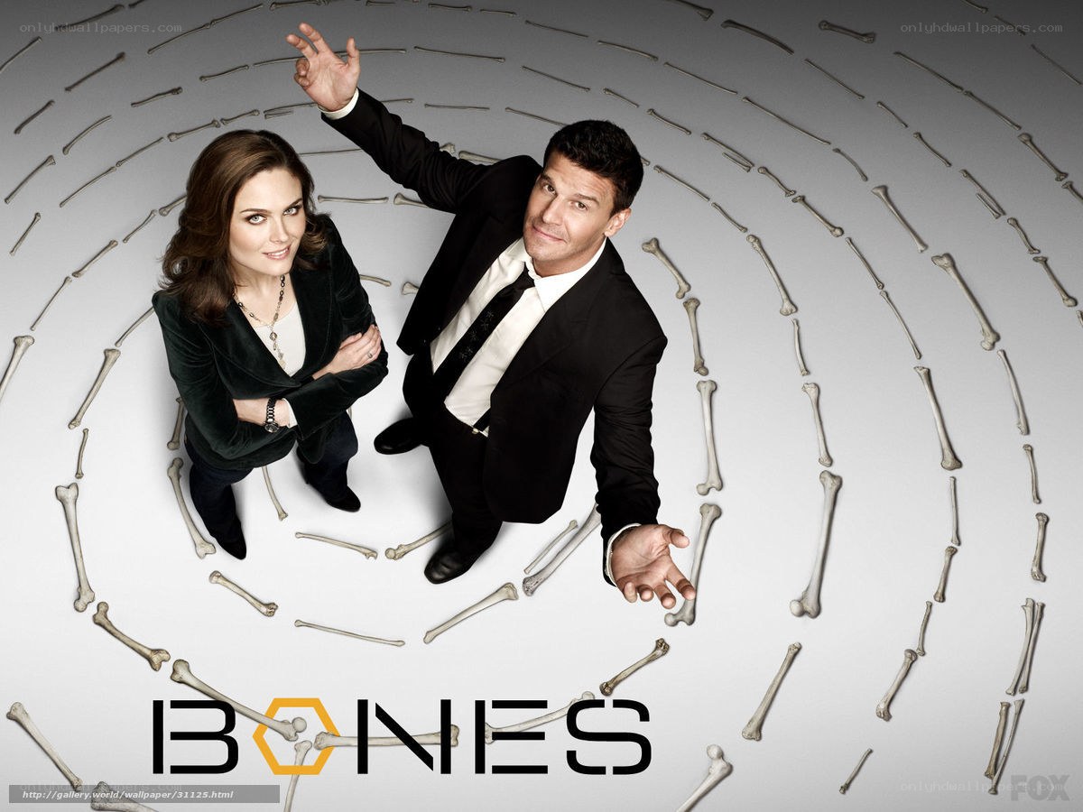 Bones TV show promotional image