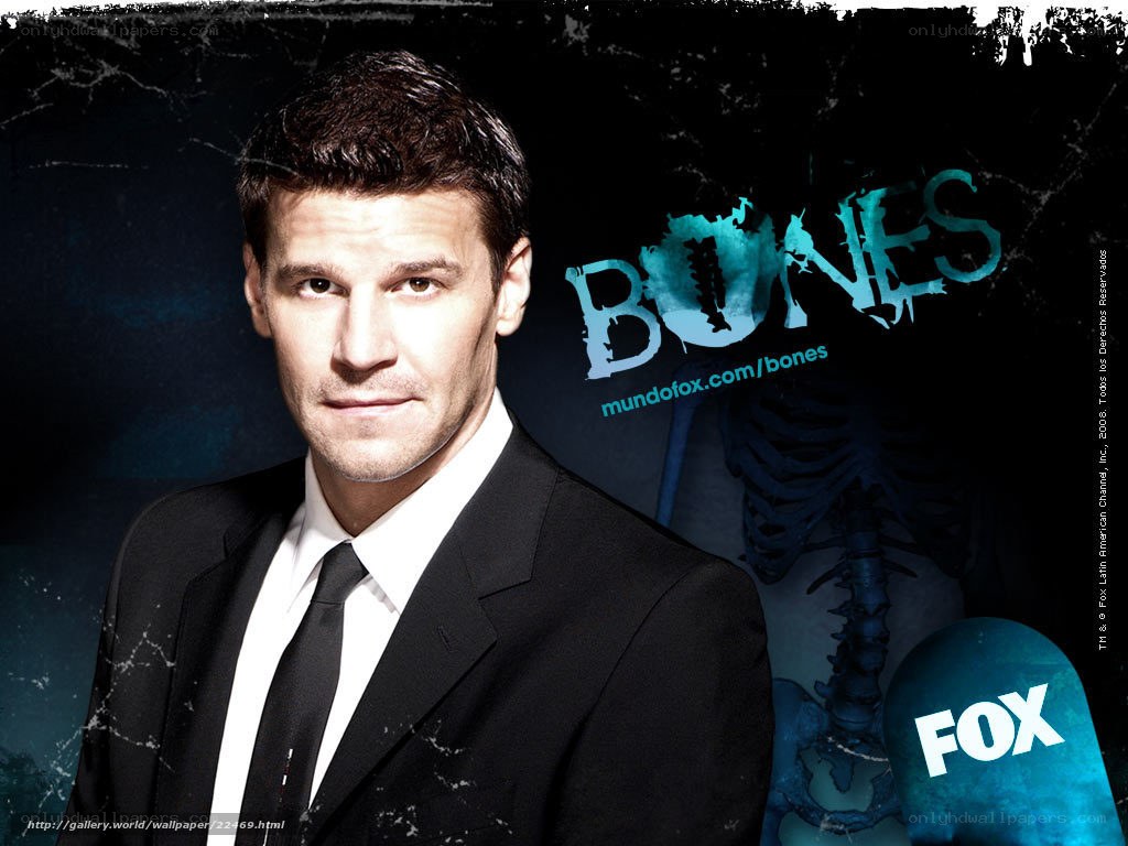 Bones TV show promotional image