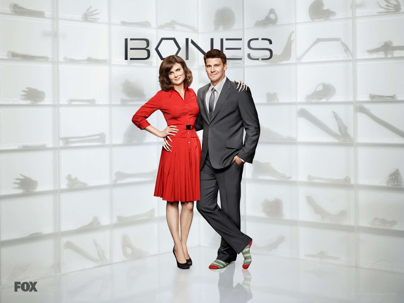 Bones TV show promotional image