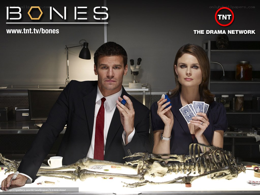 Bones TV show promotional image