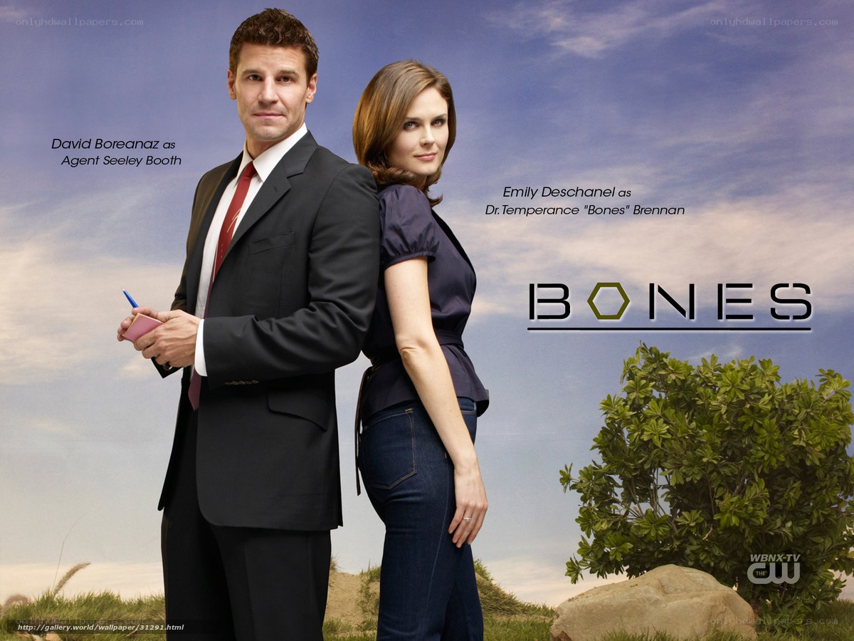 Bones TV show promotional poster