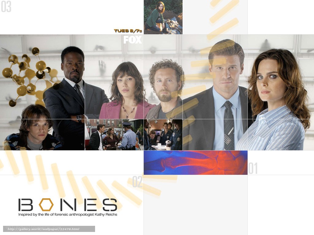 Bones TV show promotional poster