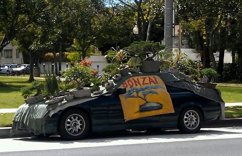 Bonsai art car on street