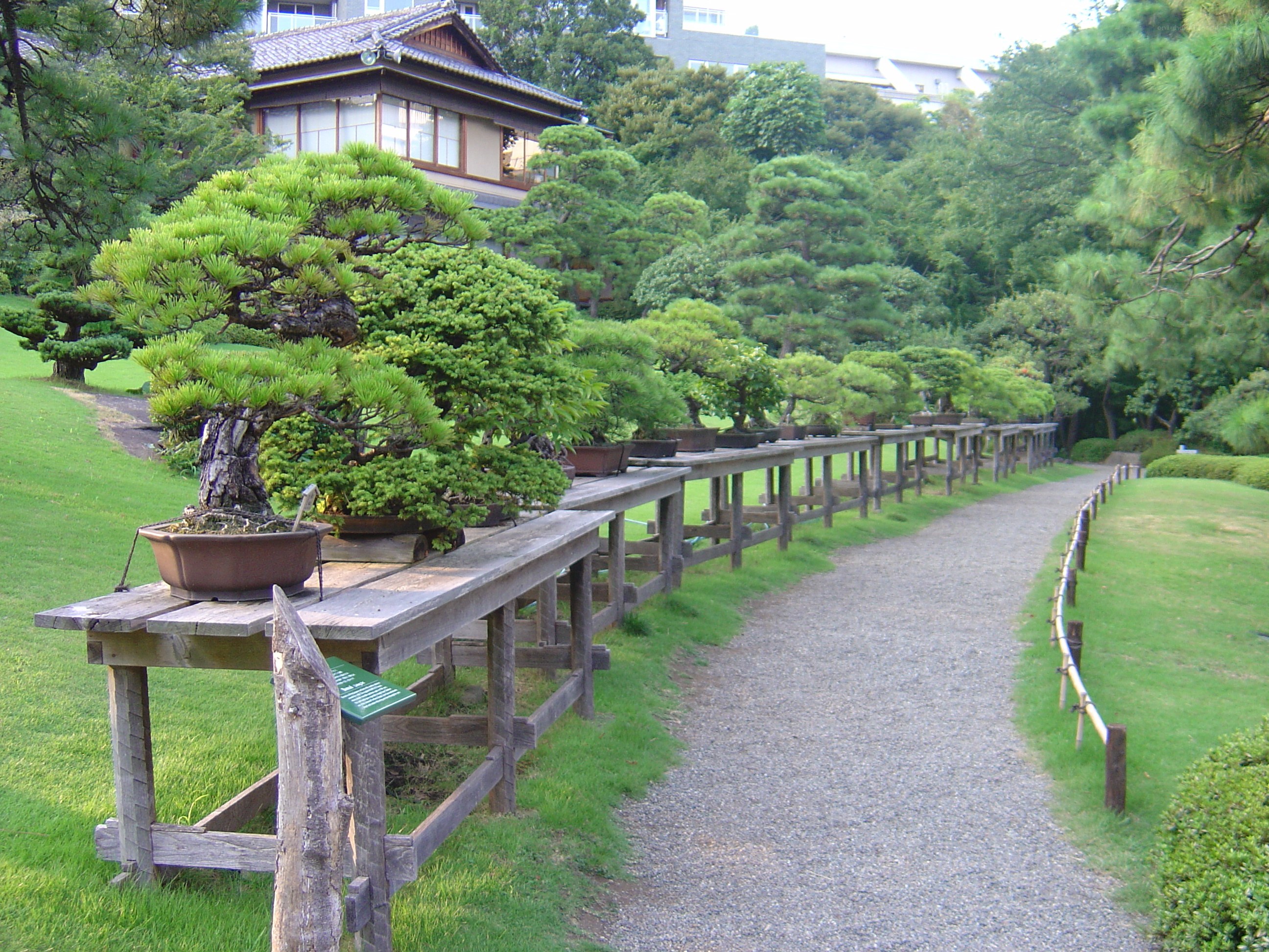 Bonsai garden path
