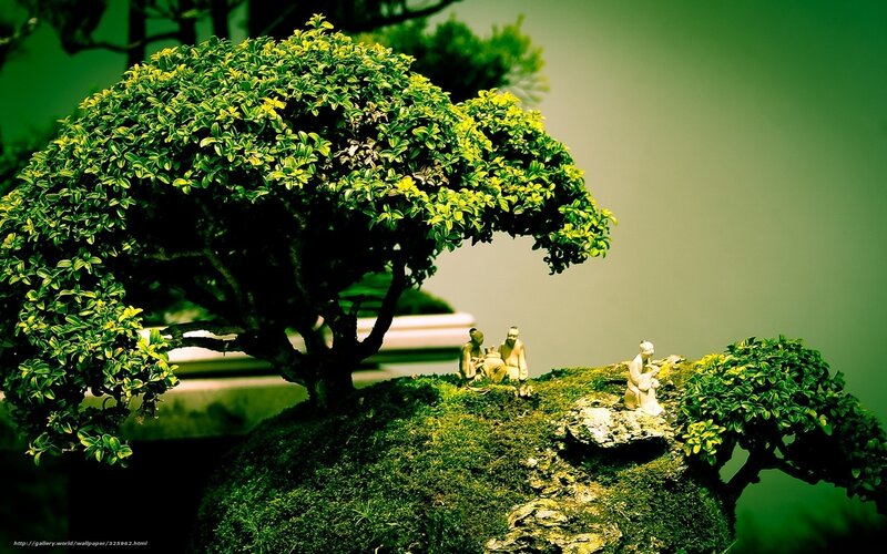 Bonsai garden with figurines