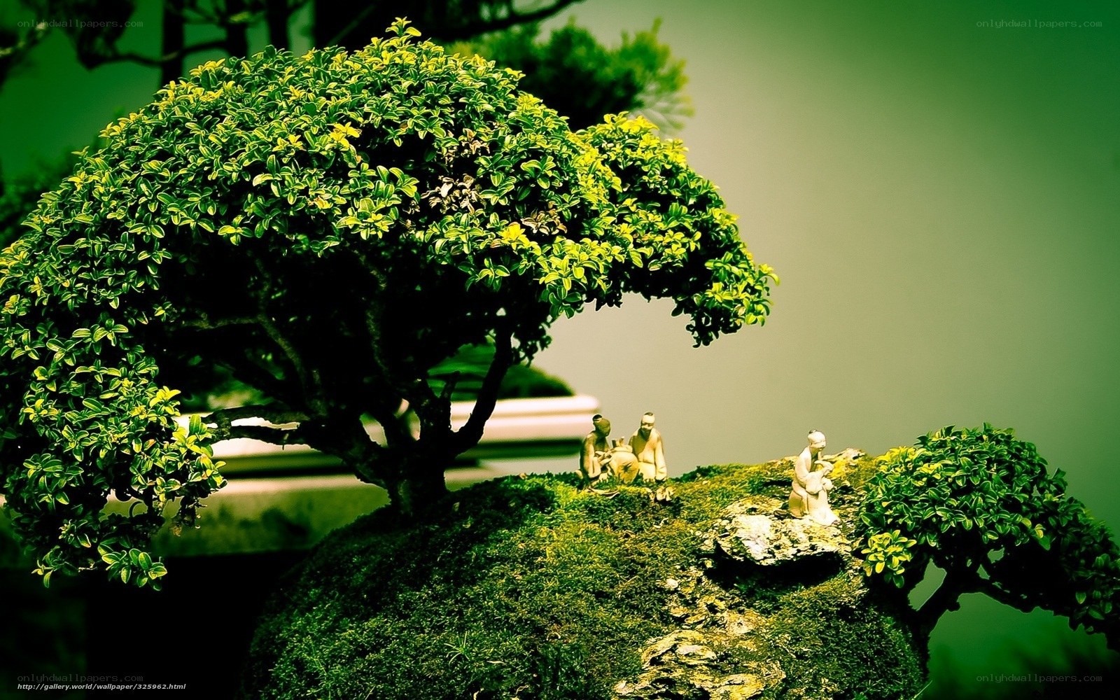 Bonsai garden with figurines