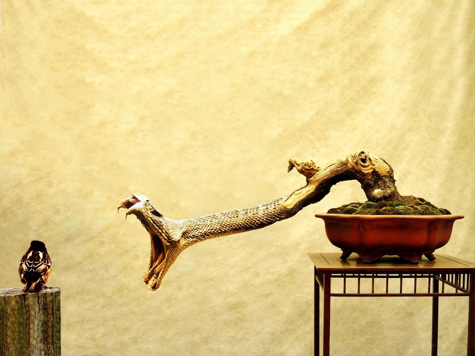 Bonsai snake sculpture