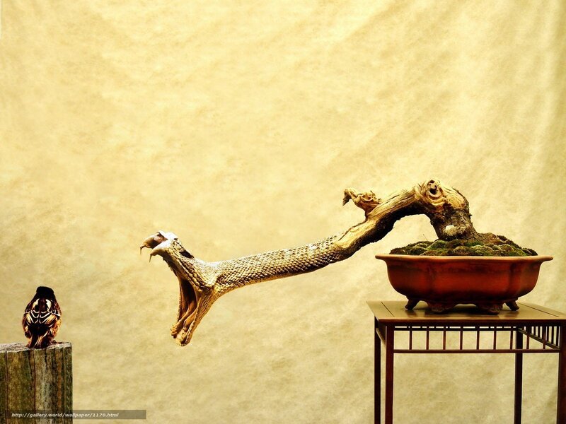 Bonsai snake sculpture