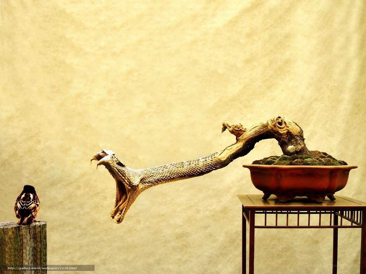 Bonsai snake sculpture