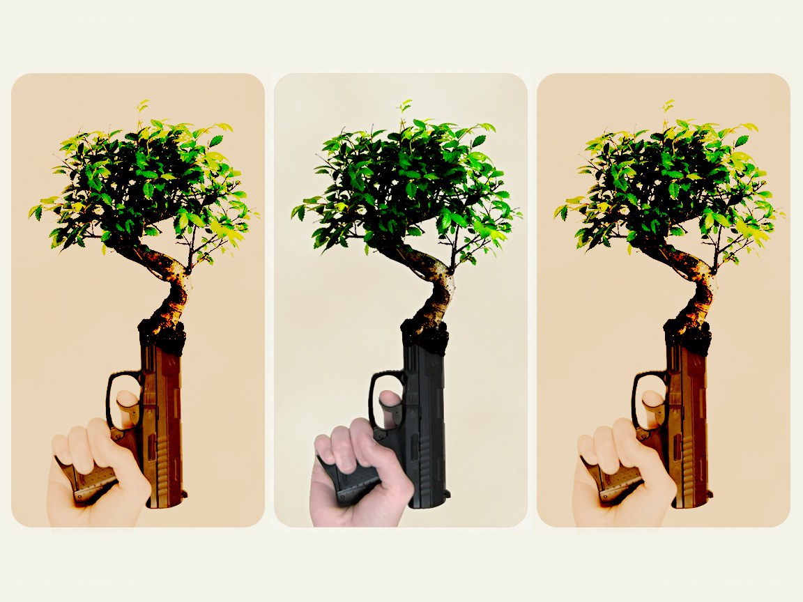 Bonsai tree gun triptych