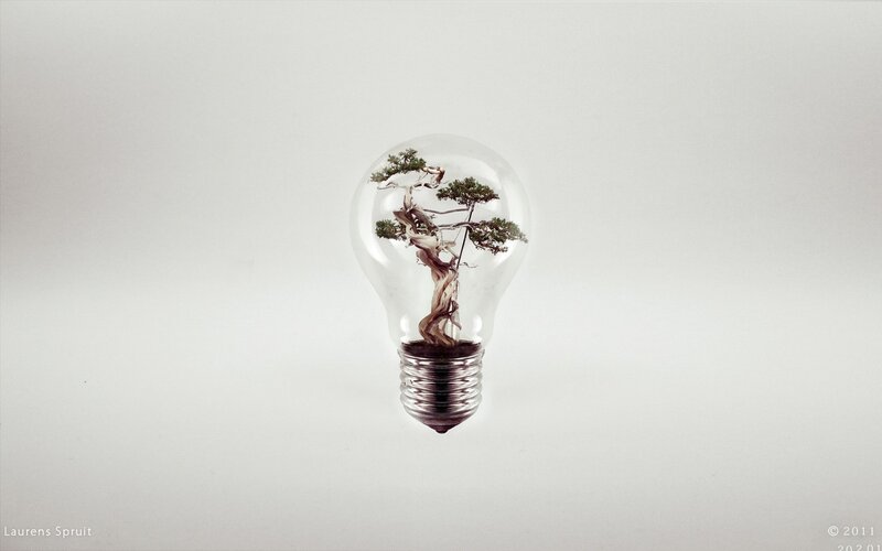 Bonsai tree in a light bulb