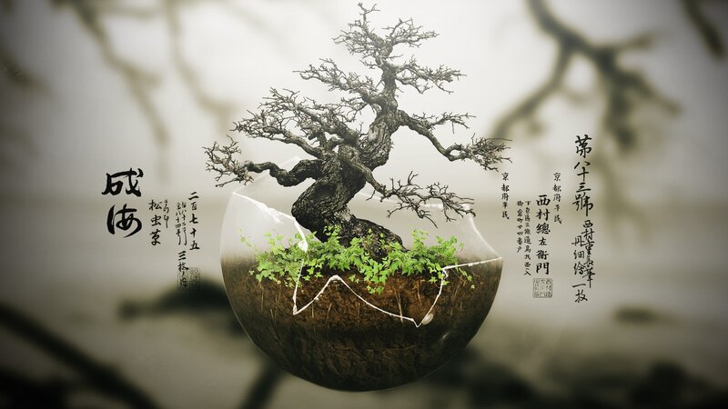 Bonsai Tree in Cracked Sphere — Brown