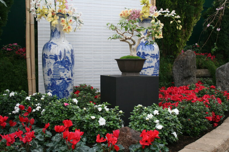 Bonsai Tree in Garden — Blue