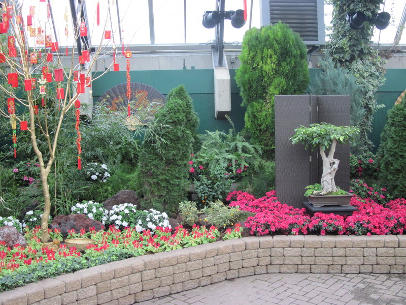 Bonsai Tree in Garden — Green, Festive
