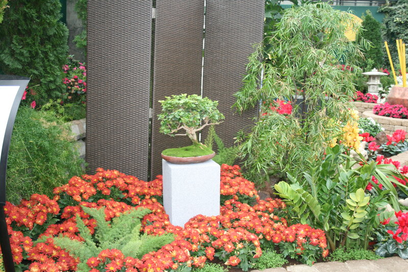 Bonsai Tree in Garden — Red, Serene, Afternoon