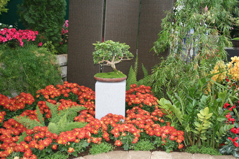 Bonsai Tree in Garden — Red, Serene