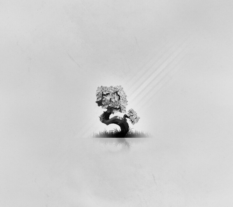 Bonsai tree in monochrome