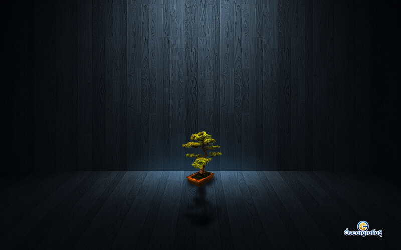 Bonsai Tree in Pot — Black, Dramatic