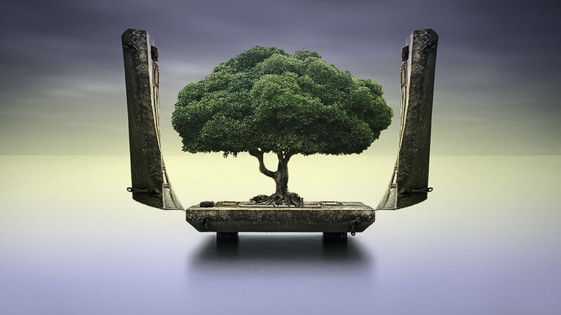 Bonsai Tree in Stone