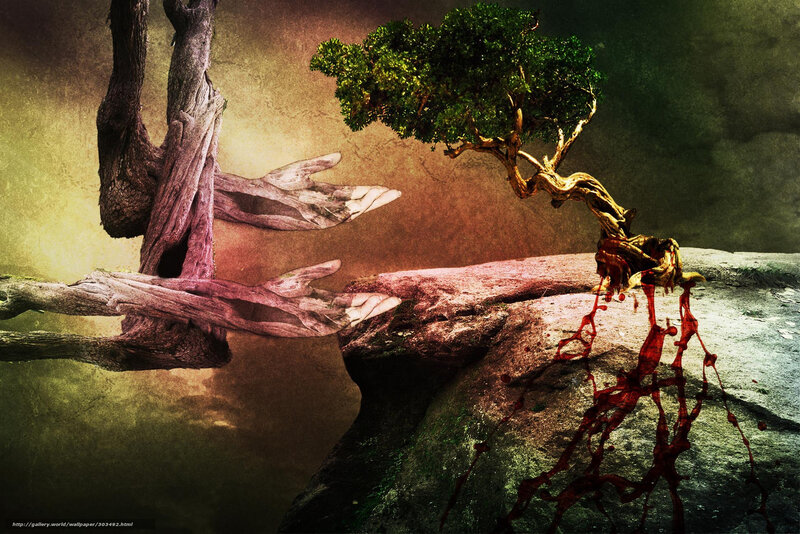 Bonsai tree on a cliff