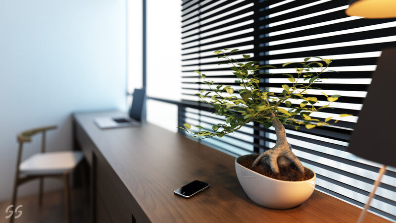 Bonsai Tree on Desk