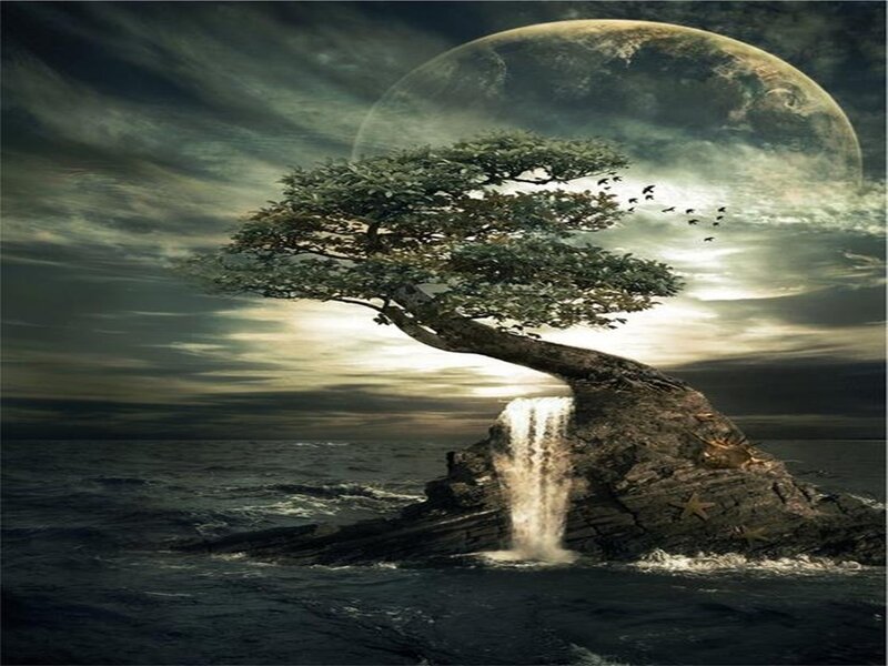 Bonsai Tree on Rock — Green