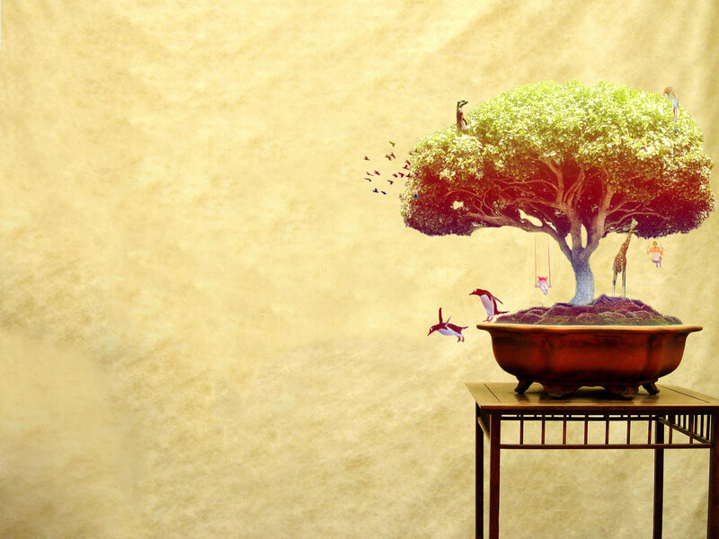 Bonsai Tree on Table