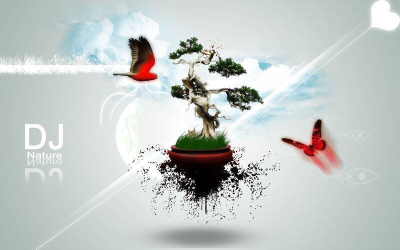 Bonsai tree with birds and butterfly