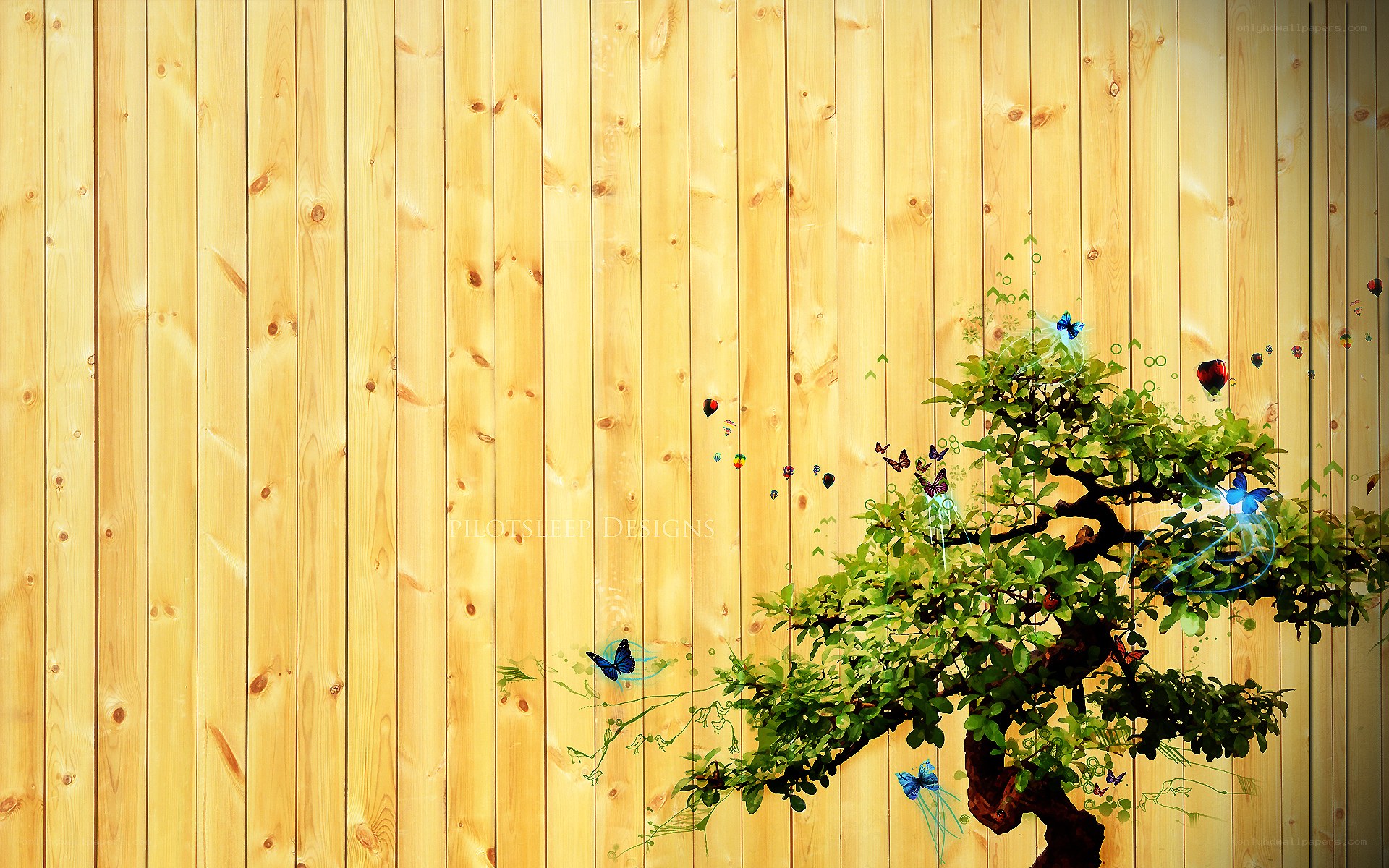 Bonsai tree with butterflies