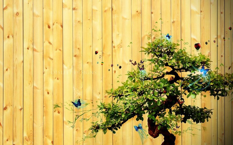 Bonsai tree with butterflies