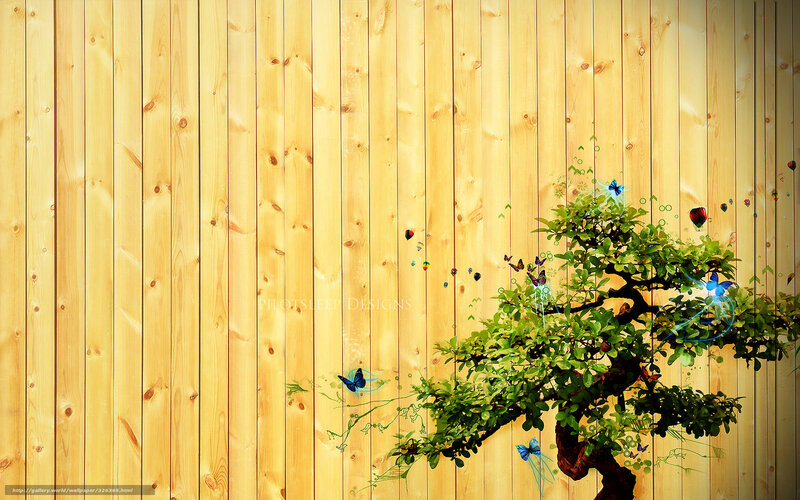 Bonsai Tree with Butterflies — Green, Serene