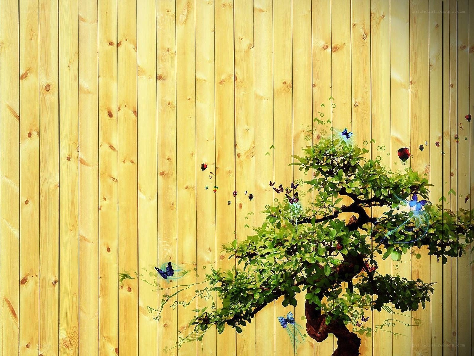 Bonsai tree with butterflies