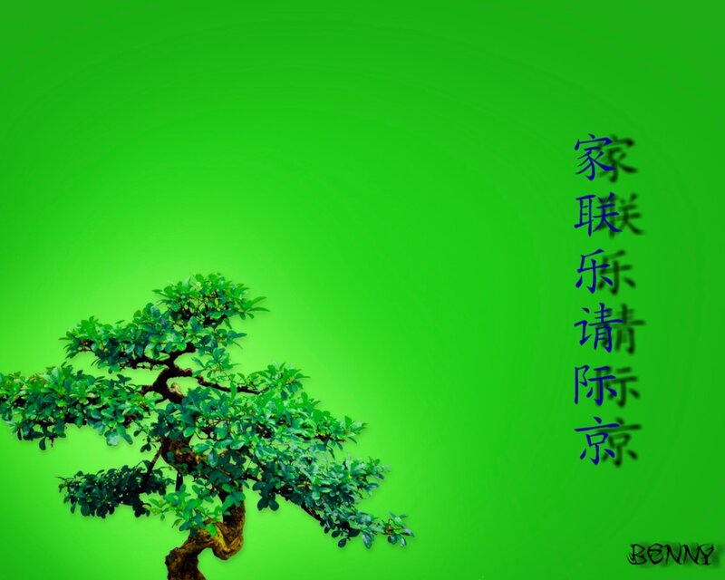 Bonsai tree with Chinese text