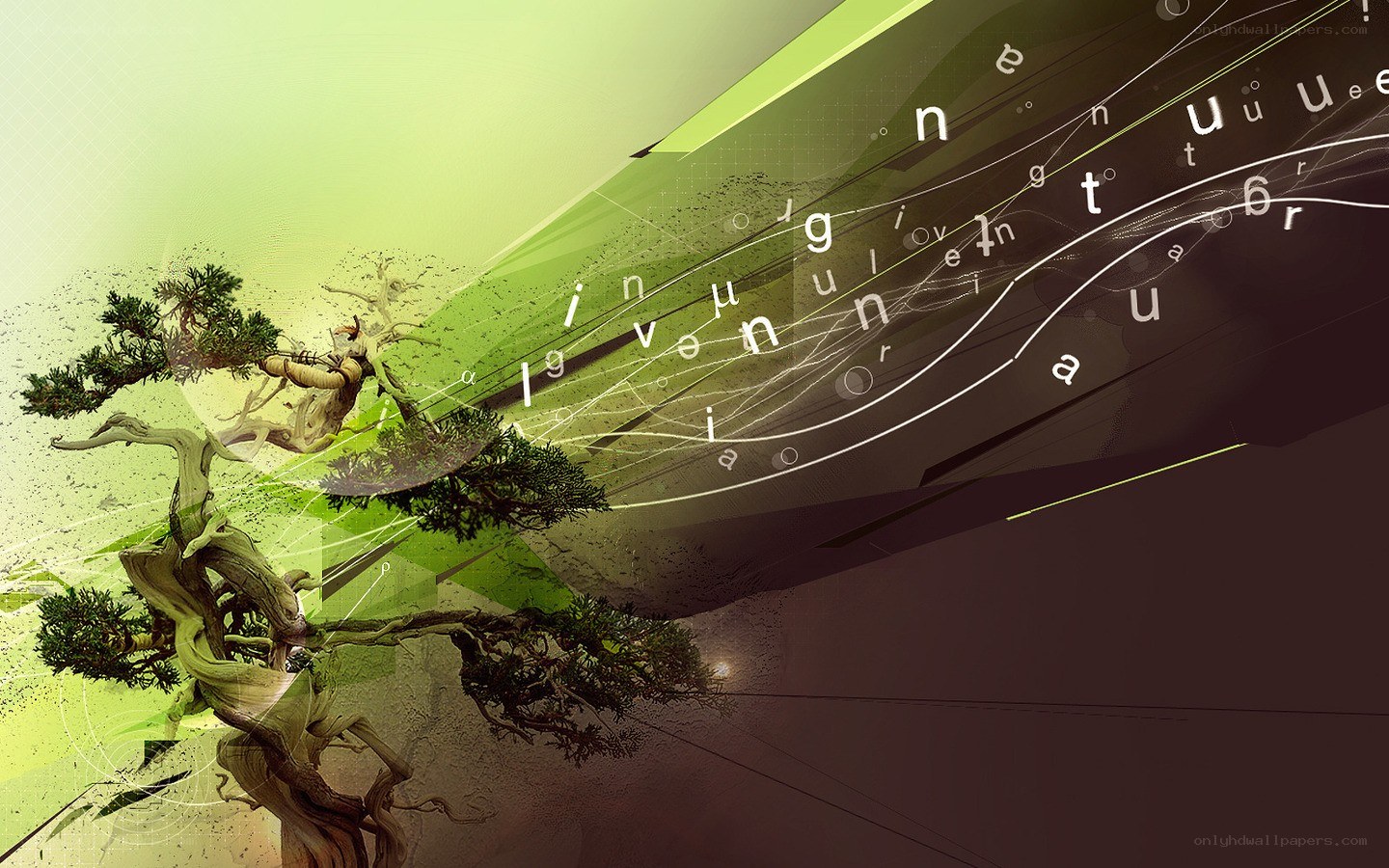 Bonsai tree with digital letters