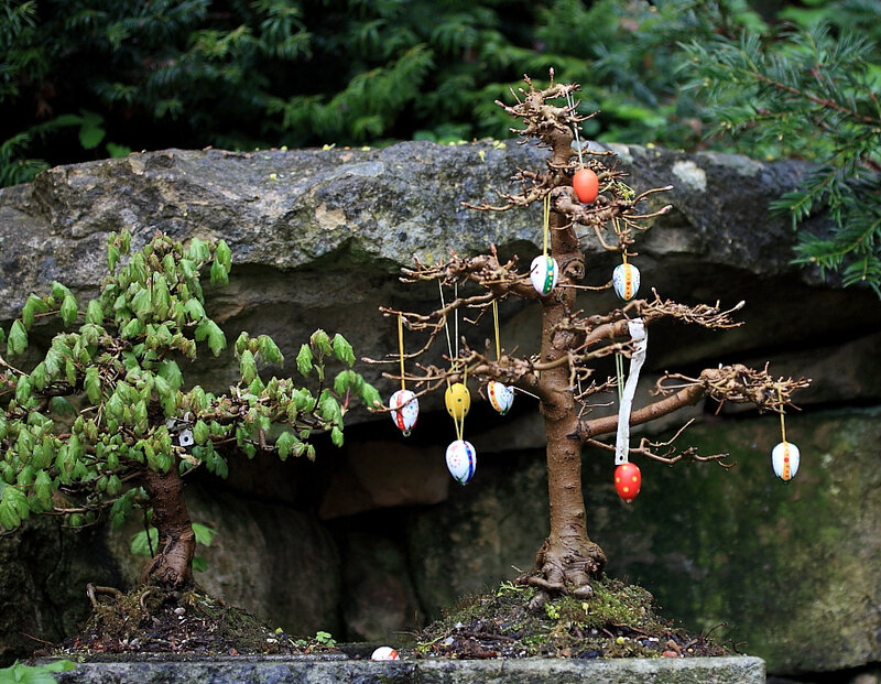 Bonsai Tree with Eggs