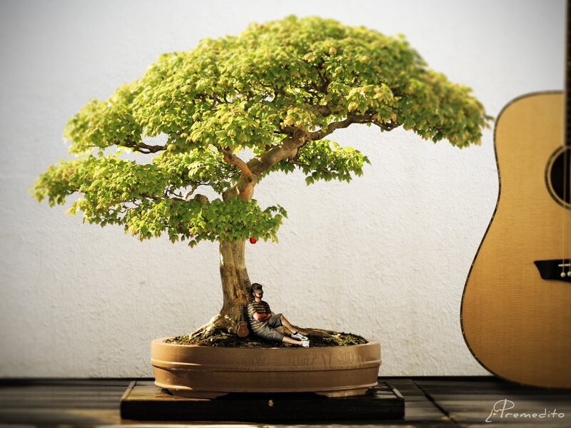 Bonsai Tree with Figurine — Green