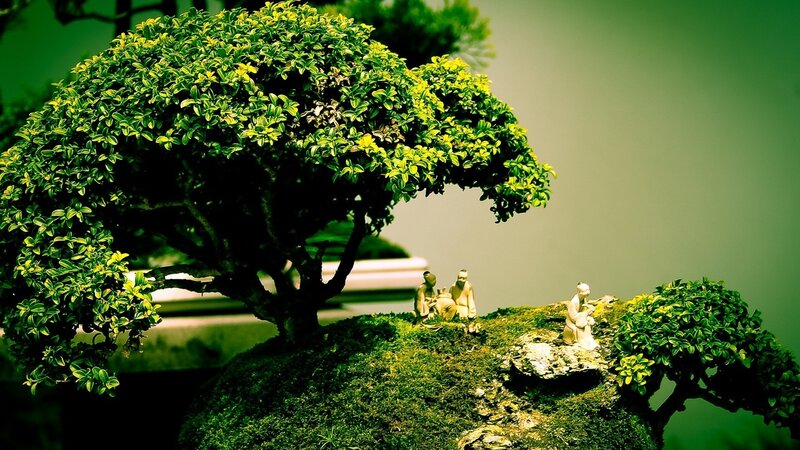 Bonsai tree with figurines